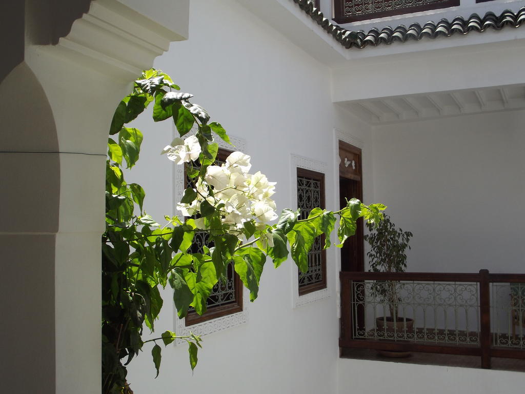 Riad Les Bougainvilliers Μαρακές Εξωτερικό φωτογραφία